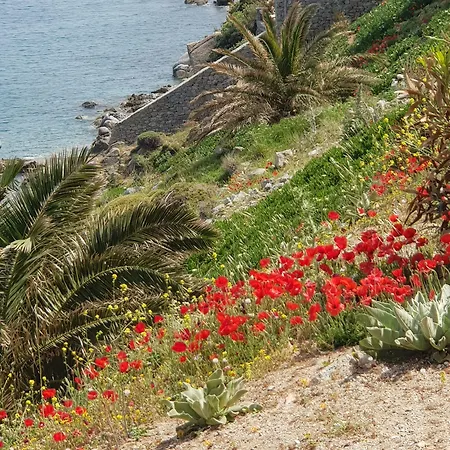 Апарт-отель Mykonos Azure Псароу