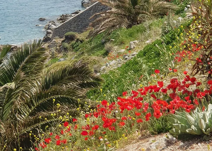 Ξενοδοχείο με διαμερίσματα Mykonos Azure Ψαρού